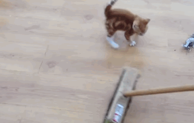 broom5.gif