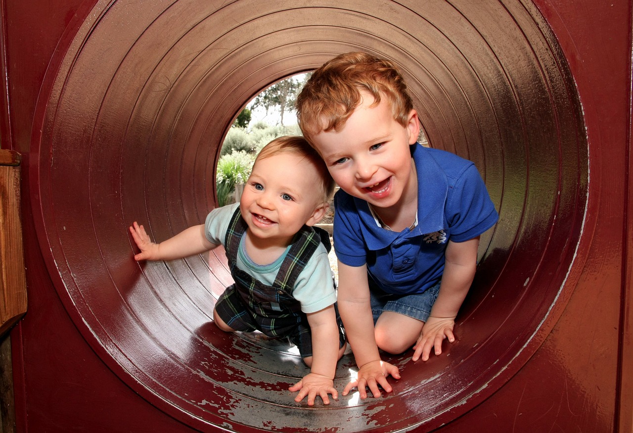 brothers-179375_1280.jpg