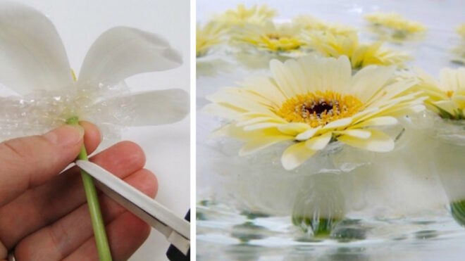 bubble wrap floating flowers