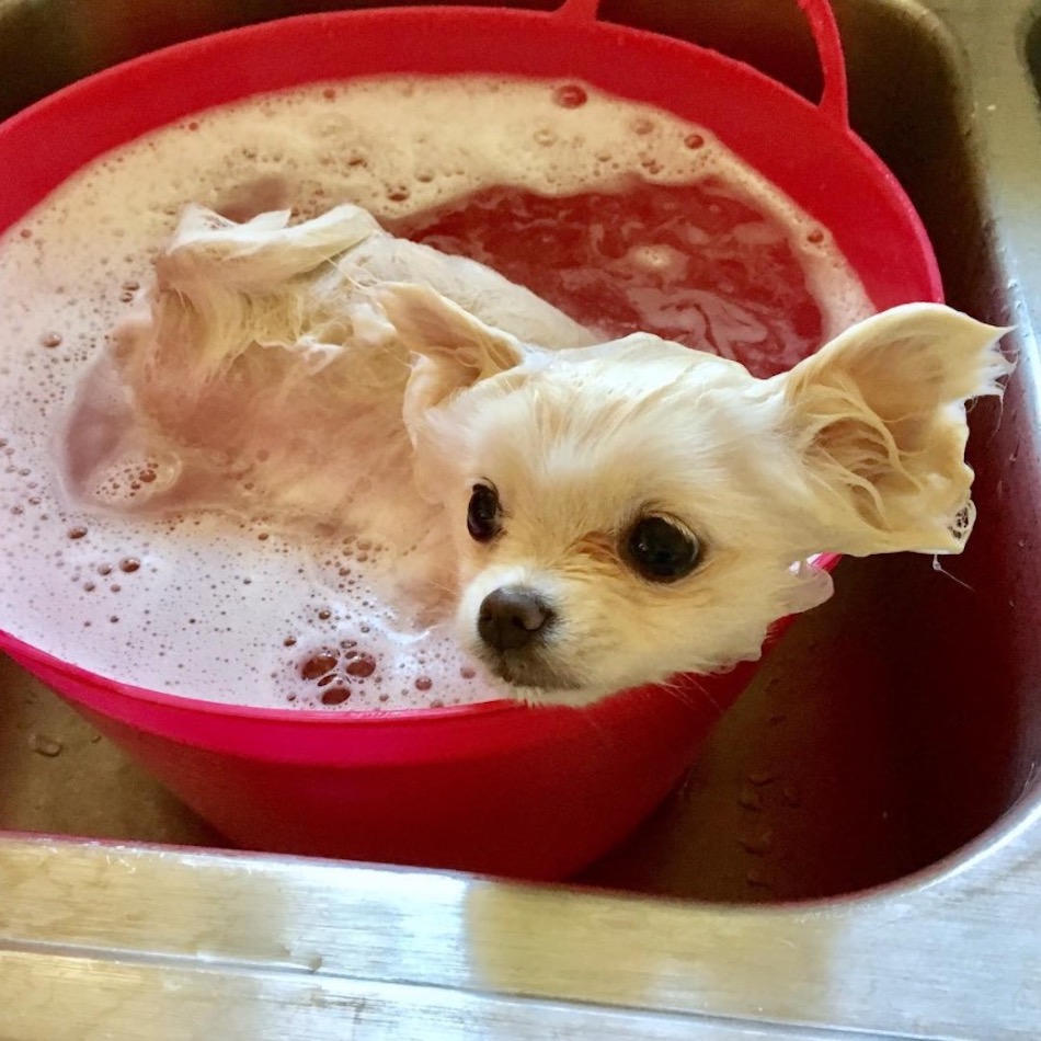 bucket-1.jpg bucket-1.jpg