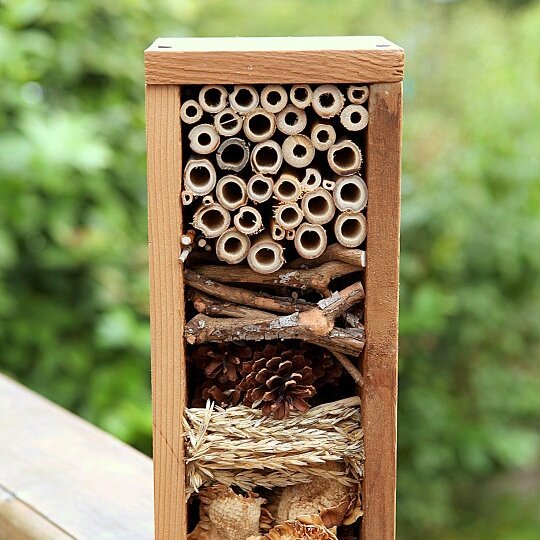 bug-hotel-1.jpg