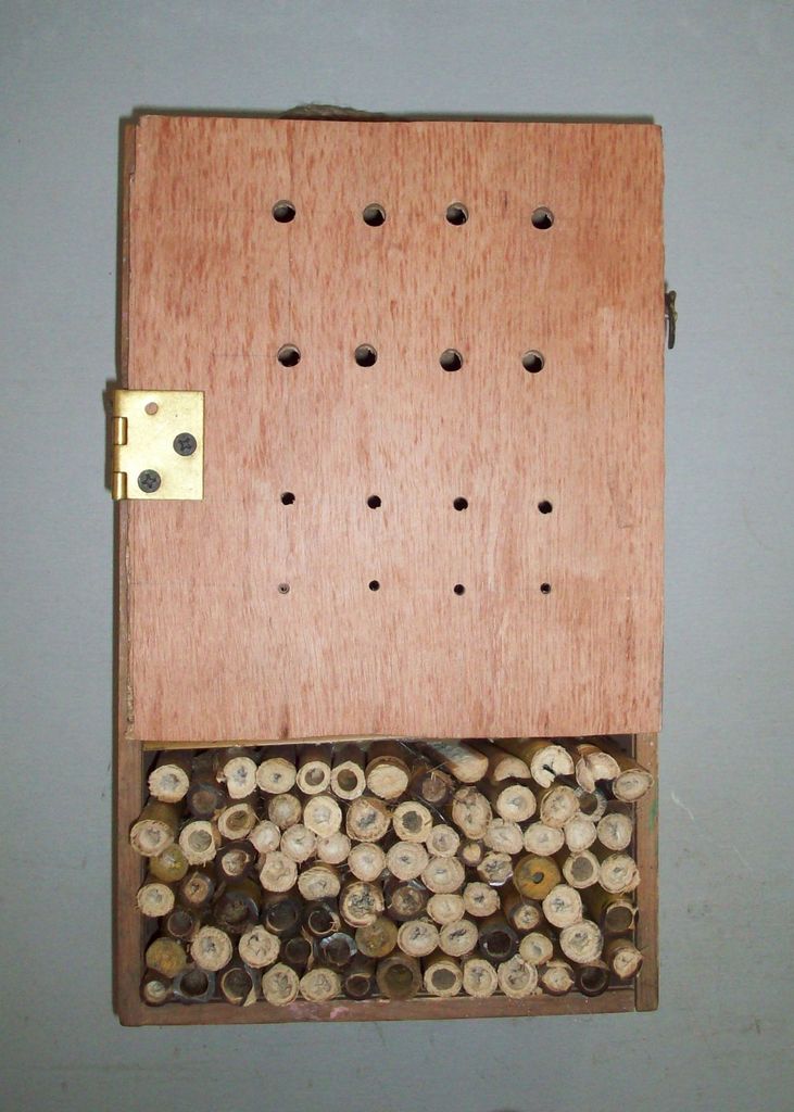 bug-hotel-14.jpg