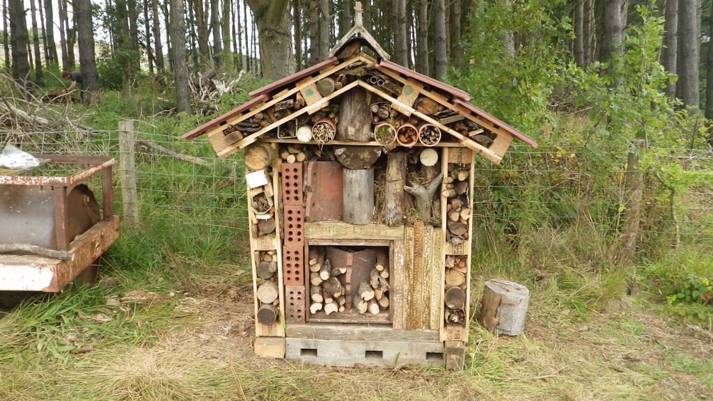 bug-hotel-2.jpg