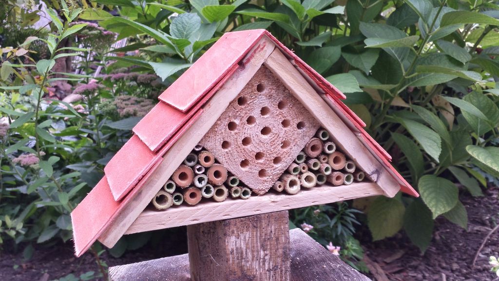 bug-hotel-3.jpg