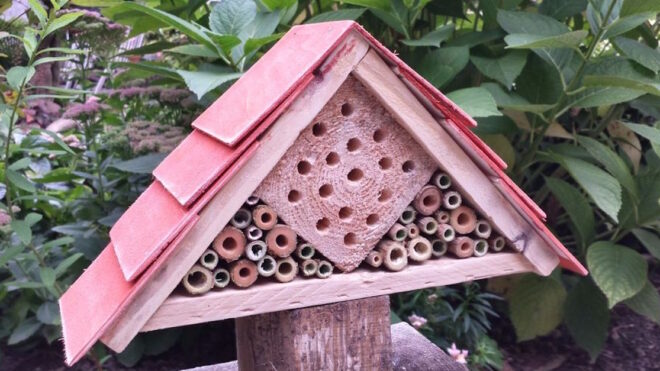 bug hotel 3