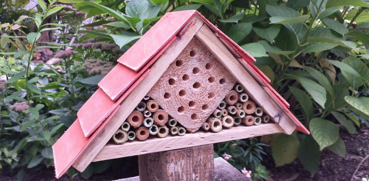 bug hotel 3