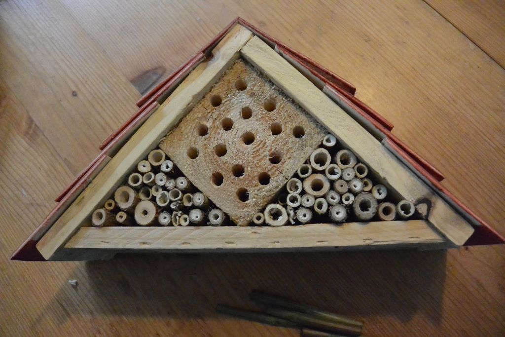 bug-hotel-9.jpg