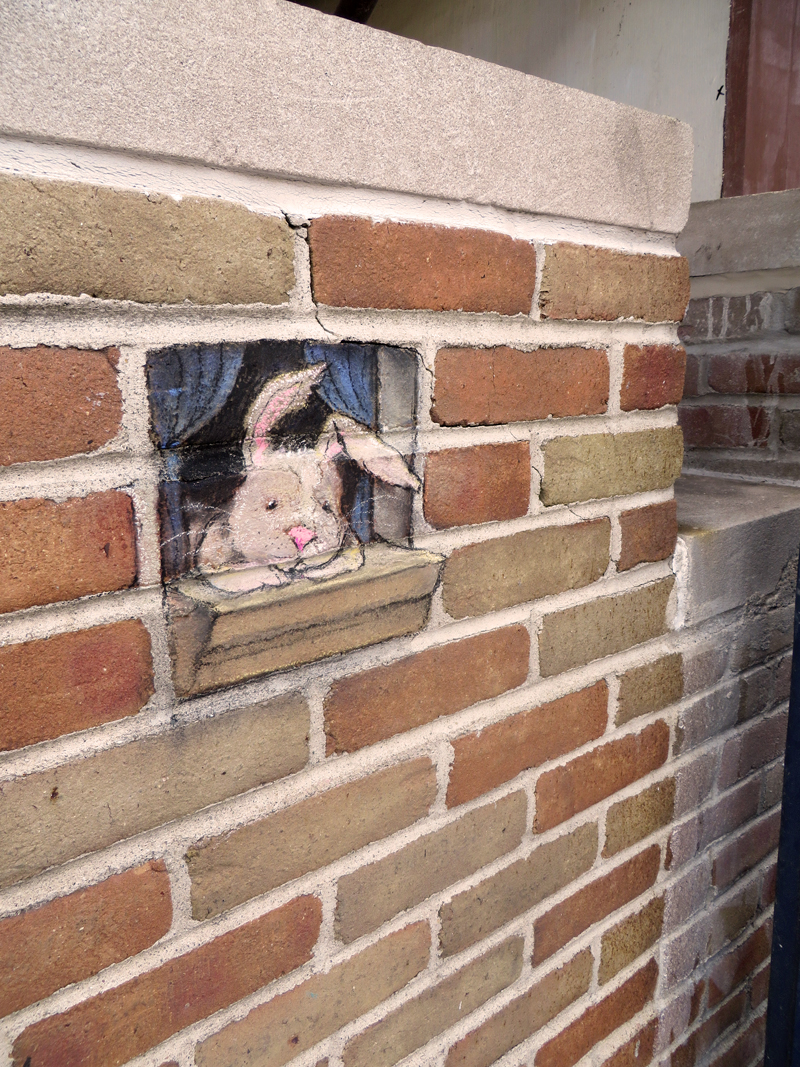 bunny-10.jpg