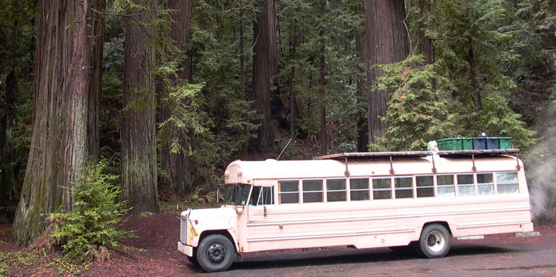 bus_in_redwoods.jpg