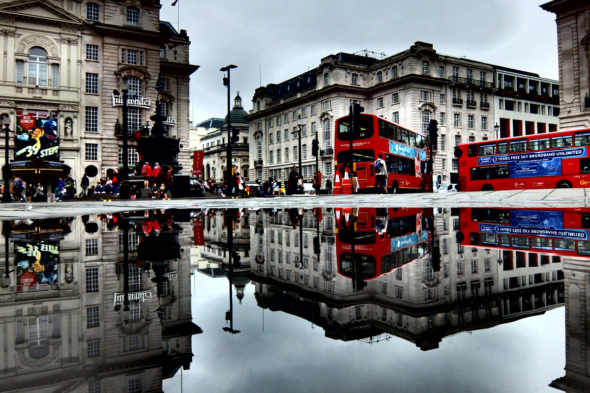 buses.jpg