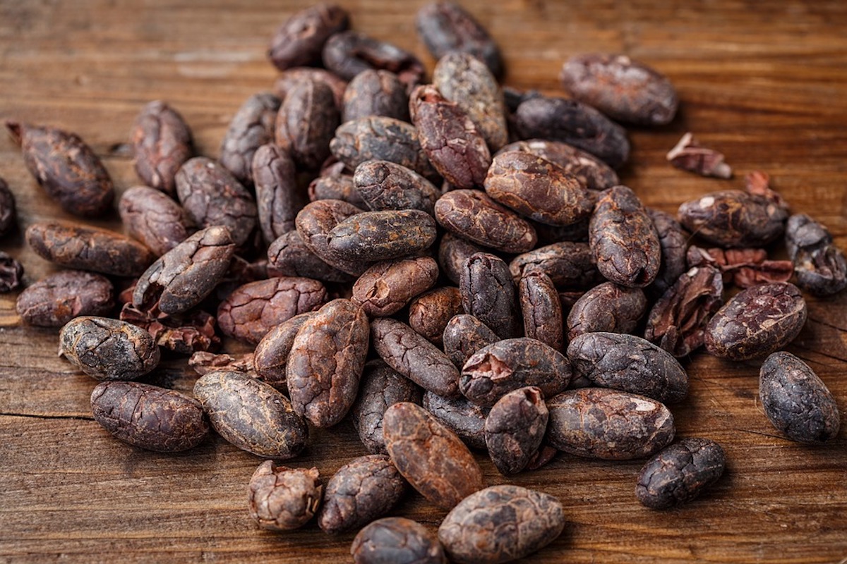 cacao-bean-2522918_960_720.jpg