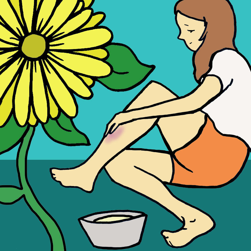 calendula-to-heal-bruises.jpg