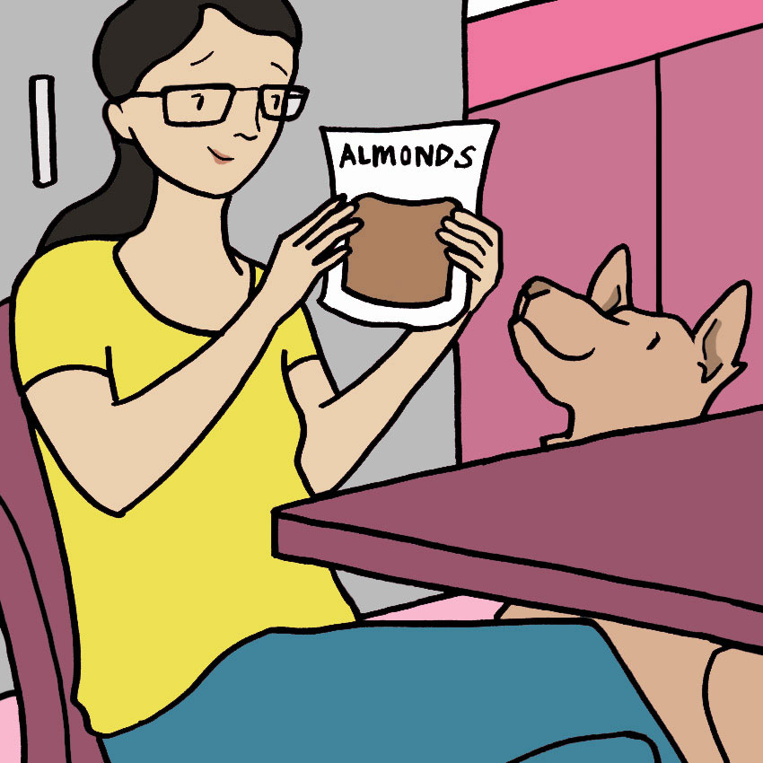 can-dogs-eat-almonds-6.jpg