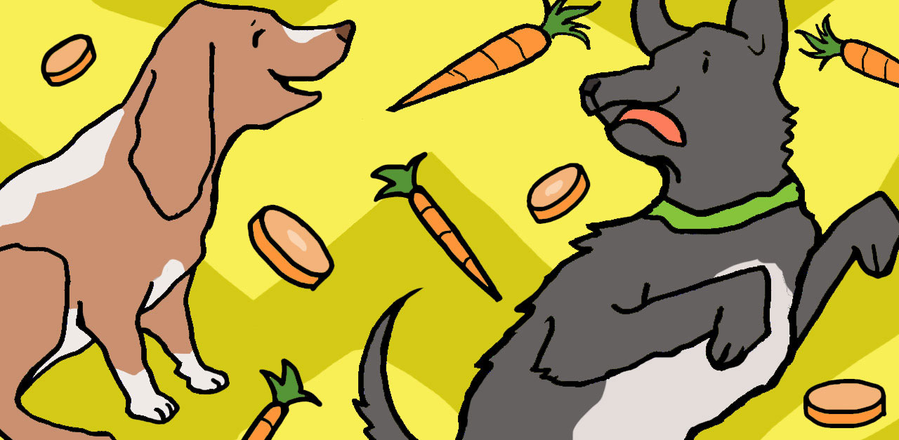 Dogs Carrots 1280