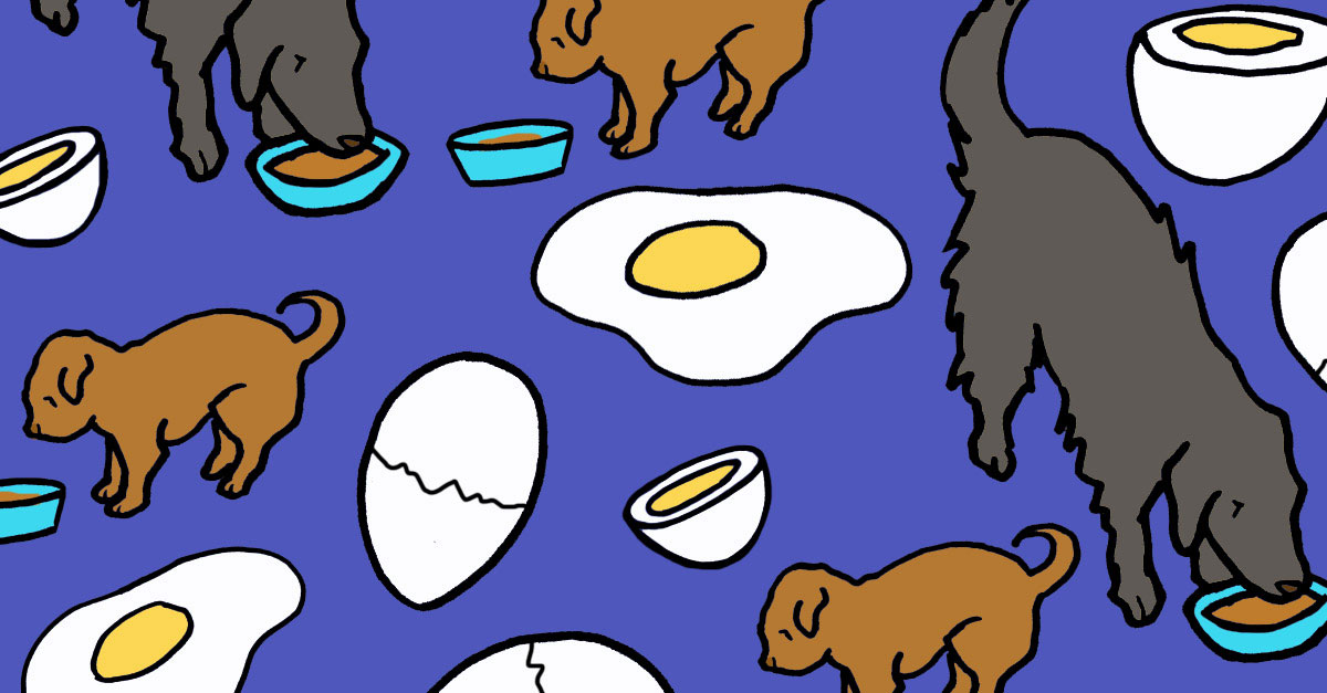 can-dogs-eat-eggs-1200