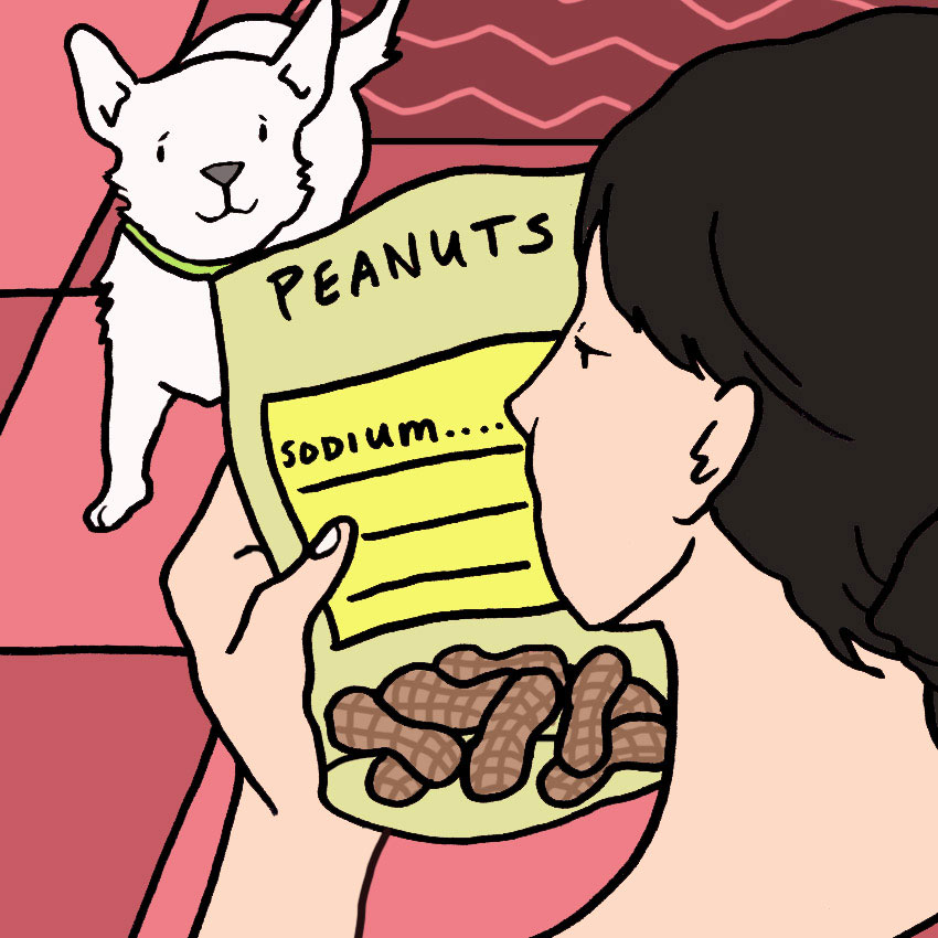 can-dogs-eat-peanuts-1.jpg