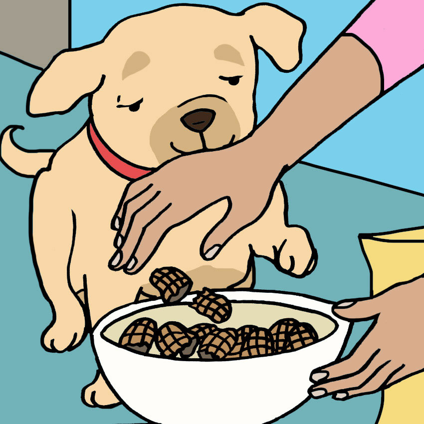 can-dogs-eat-peanuts-4.jpg