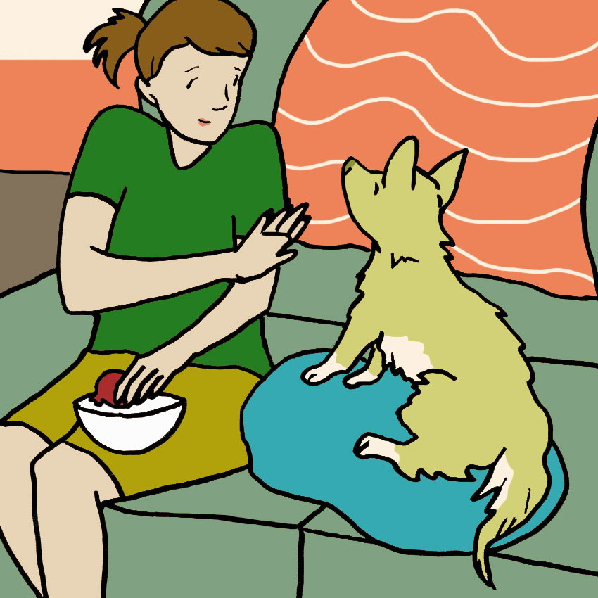 can-dogs-eat-pomegranate-2.jpg