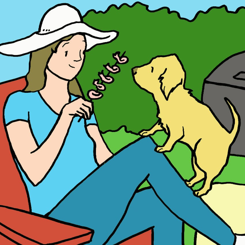 can-dogs-eat-shrimp-1.jpg can-dogs-eat-shrimp-1.jpg