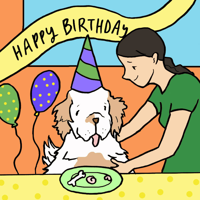 can-dogs-eat-shrimp-3.jpg