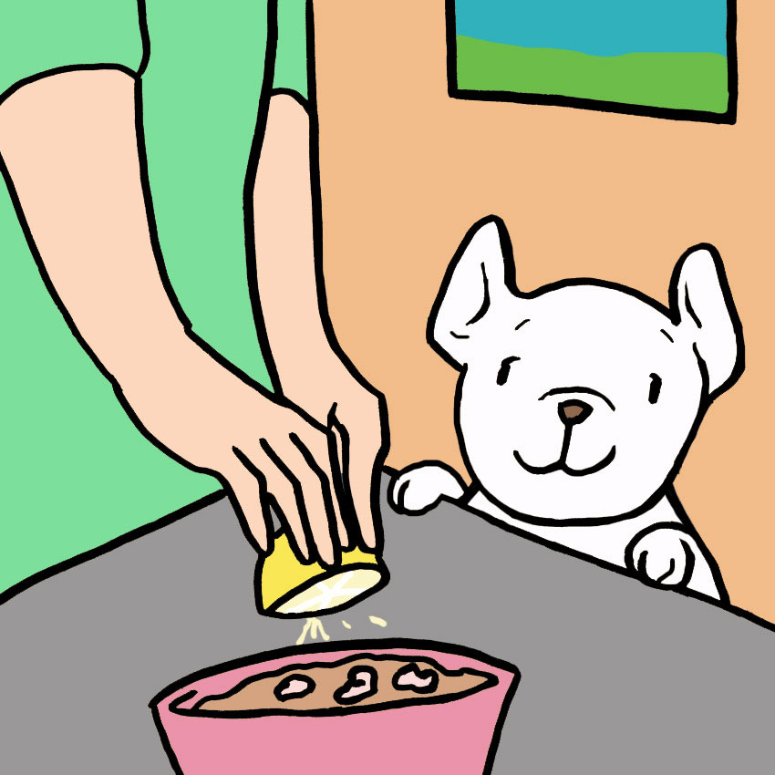 can-dogs-eat-shrimp-6.jpg