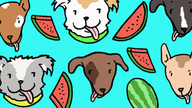 Dogs Watermelon 1280