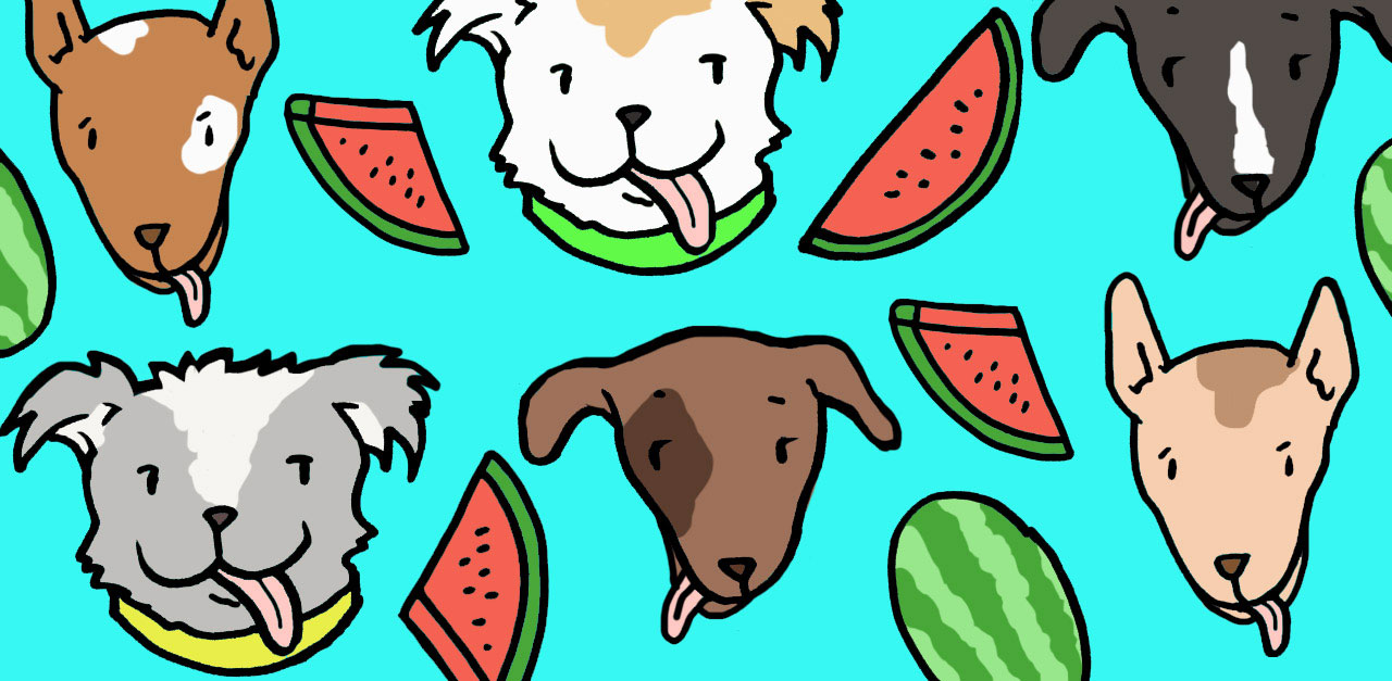 Dogs Watermelon 1280