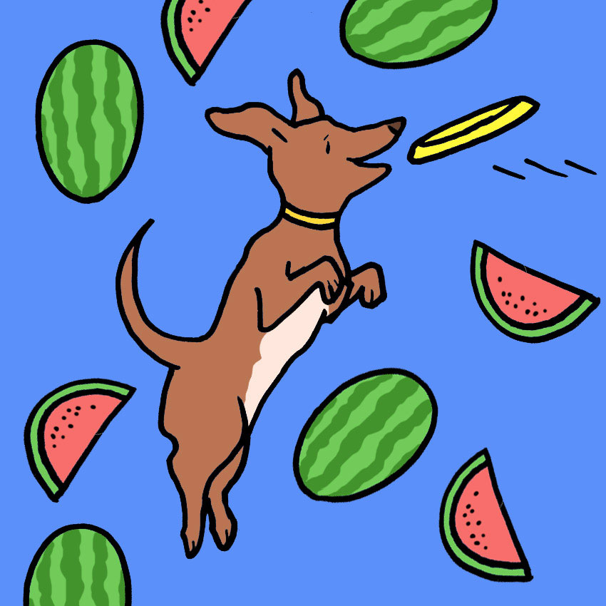 can-dogs-eat-watermelon-3.jpg