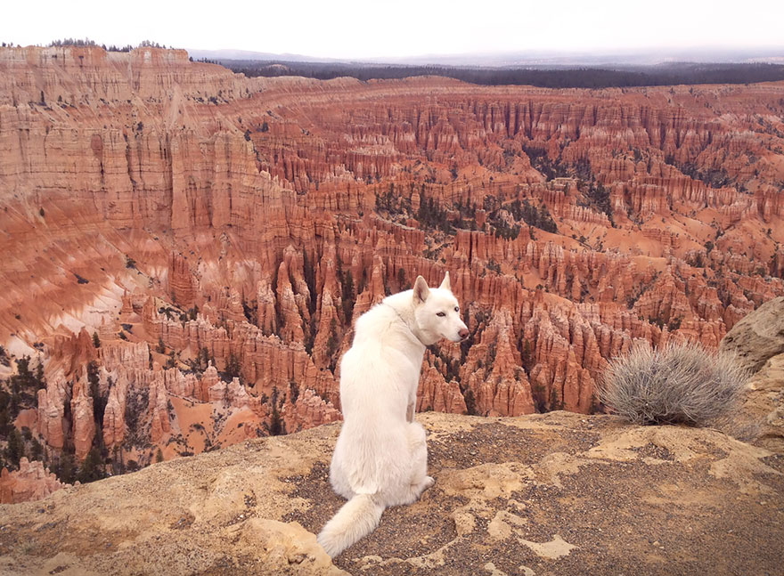 canyon.jpg