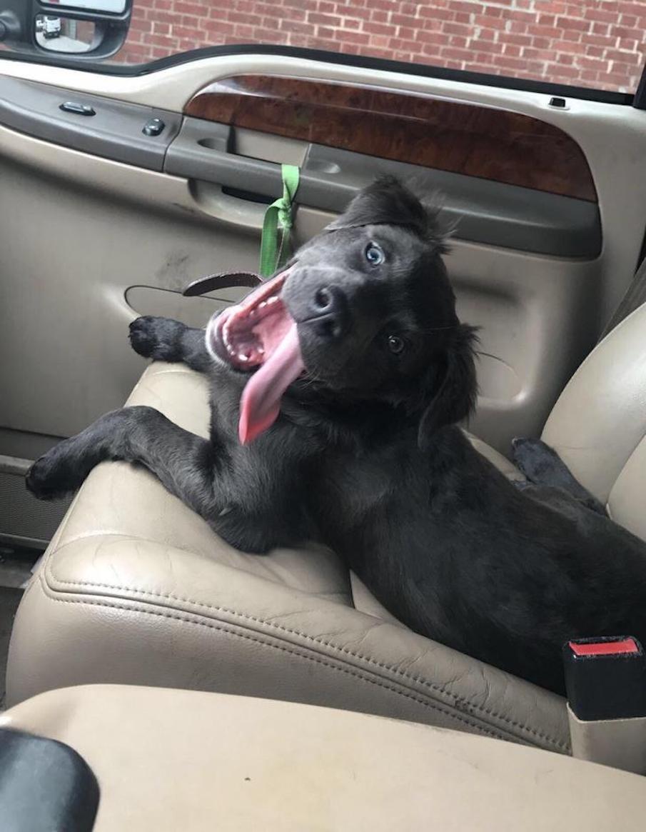 car-seat-2.jpg car-seat-2.jpg