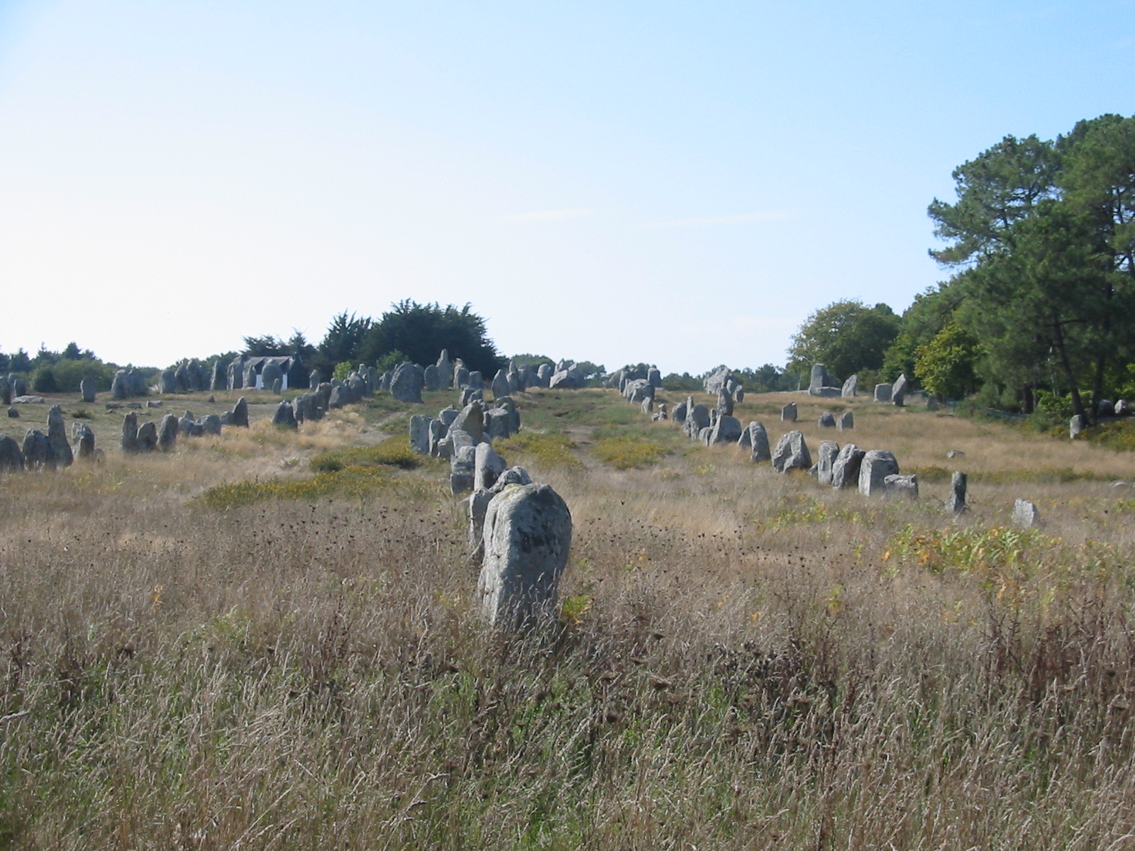 carnac-7.jpg