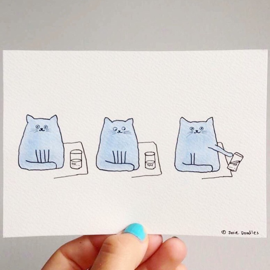 cat-2-1.jpg