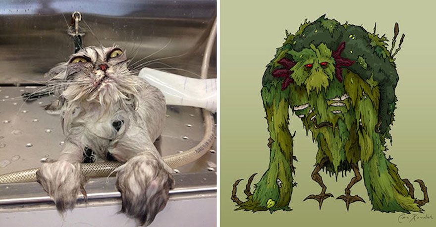 cat-looks-like-other-thing-lookalikes-celebrities-114__700.jpg