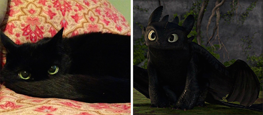 cat-looks-like-other-thing-lookalikes-celebrities-6__700.jpg