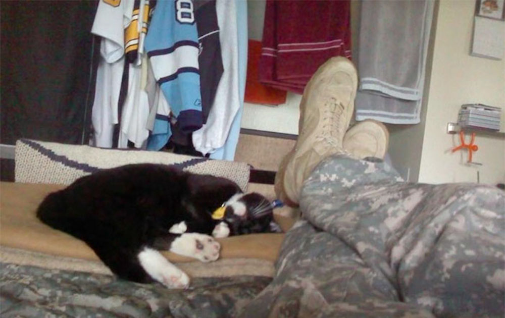 cat-rescue-soldier-life-suicide-scout-josh-marino-7.jpg