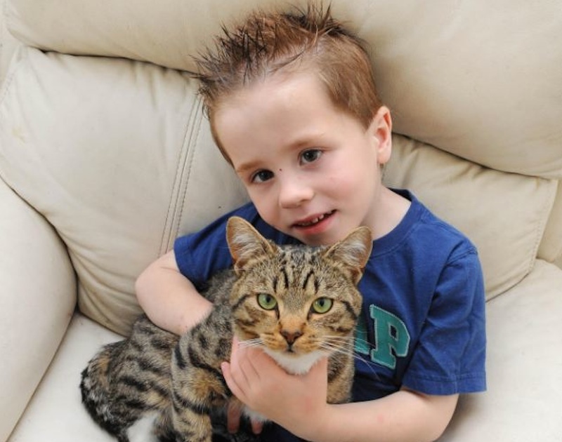 cat-saves-boy-6.jpg