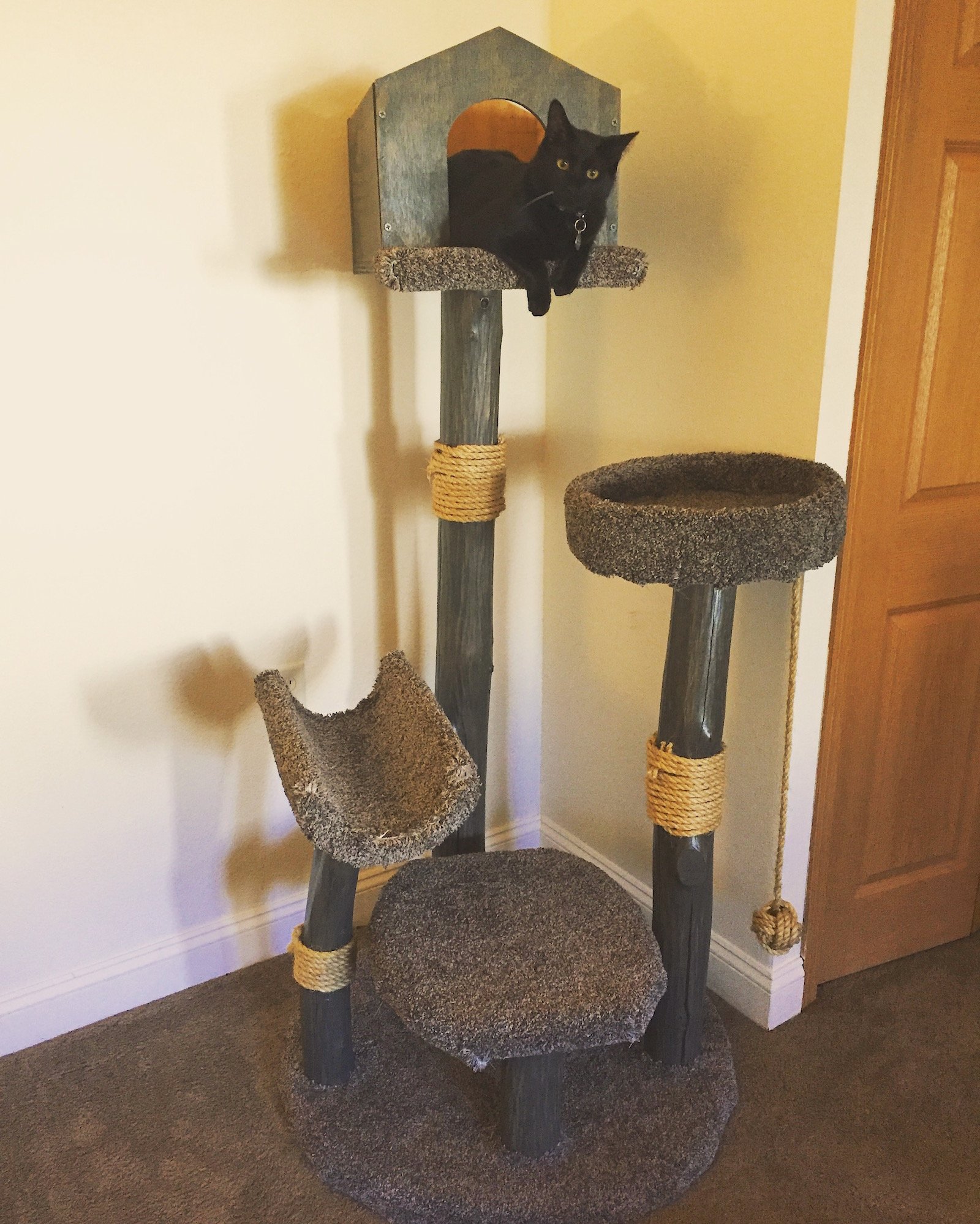 cat-tree-11-1.jpg