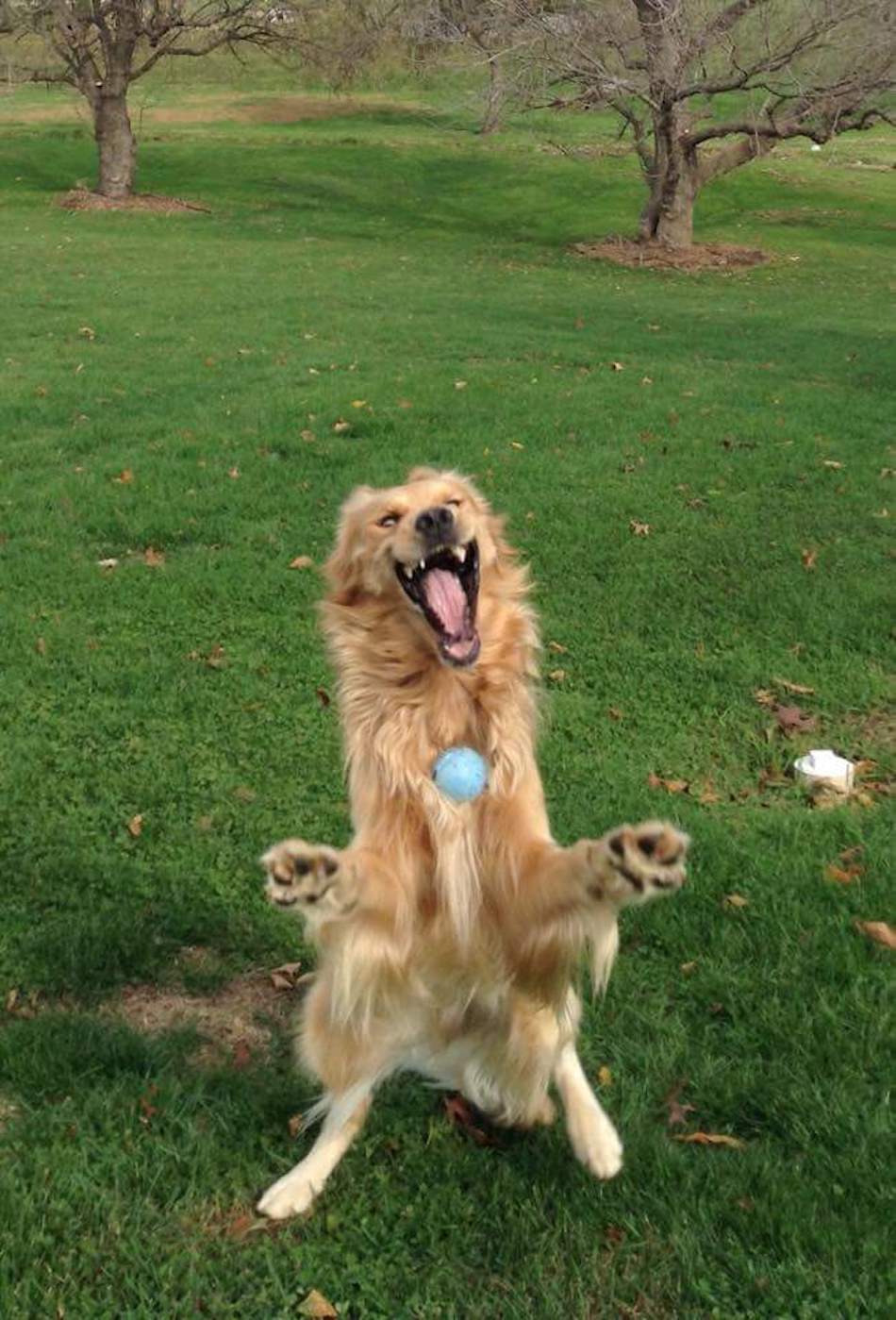 catch.jpg