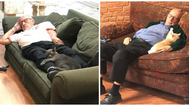 catnap