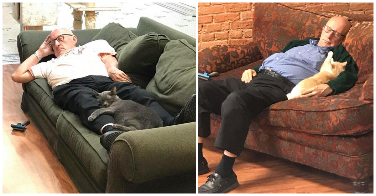 catnap