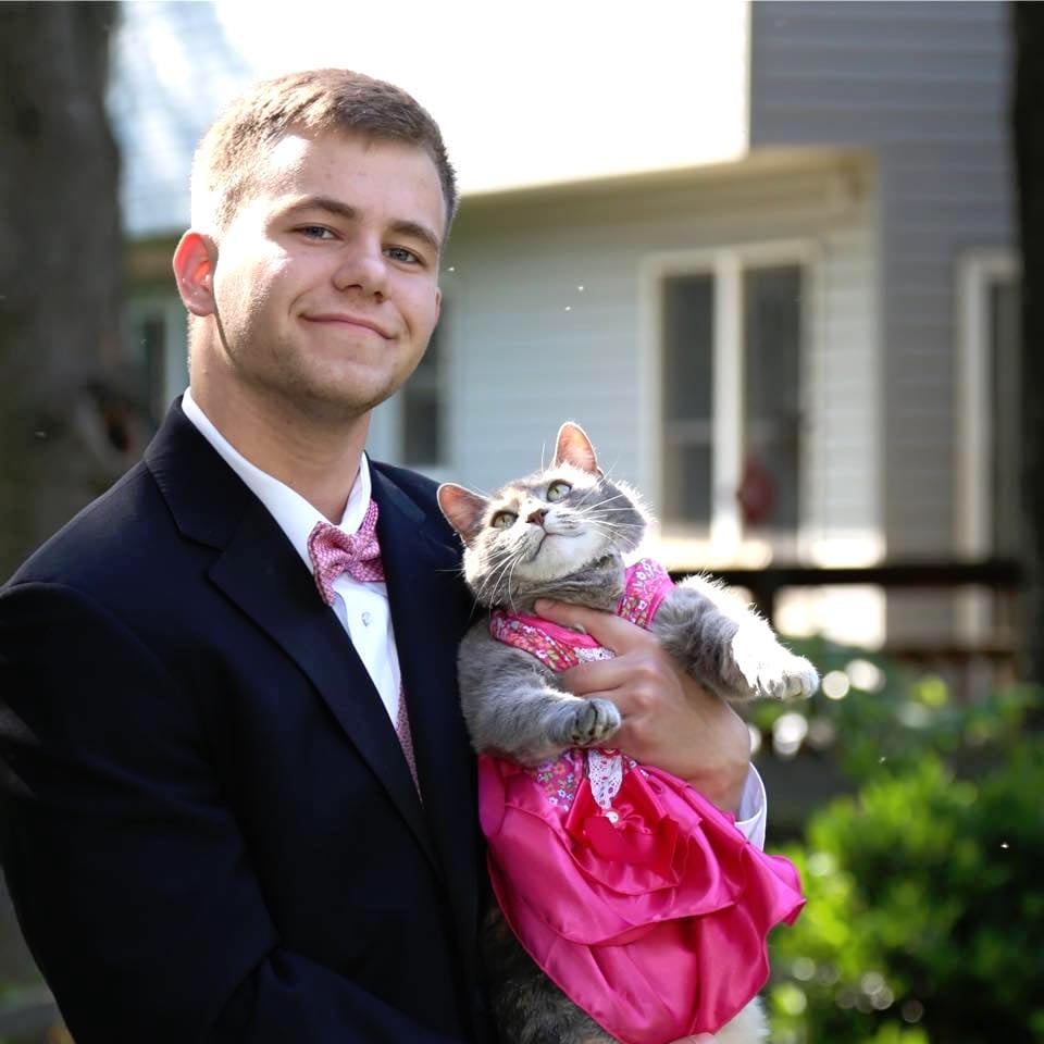 catprom_a.jpg