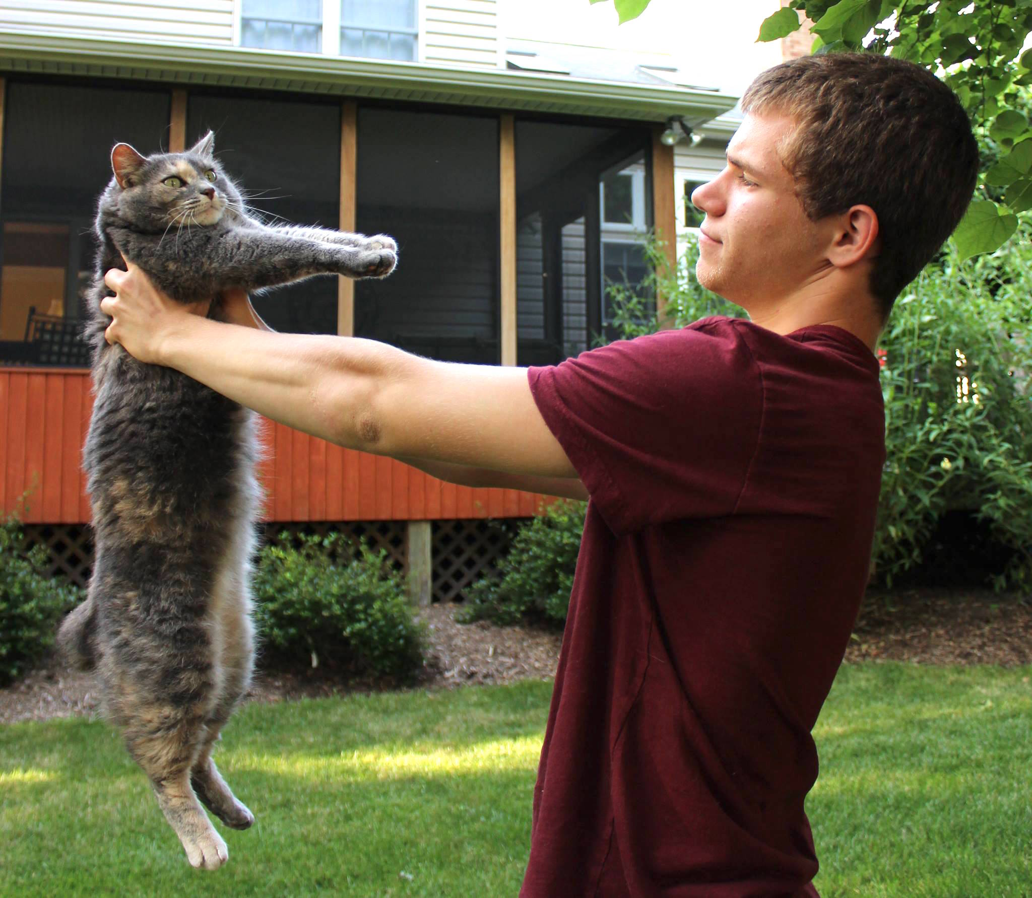 catprom_d.jpg
