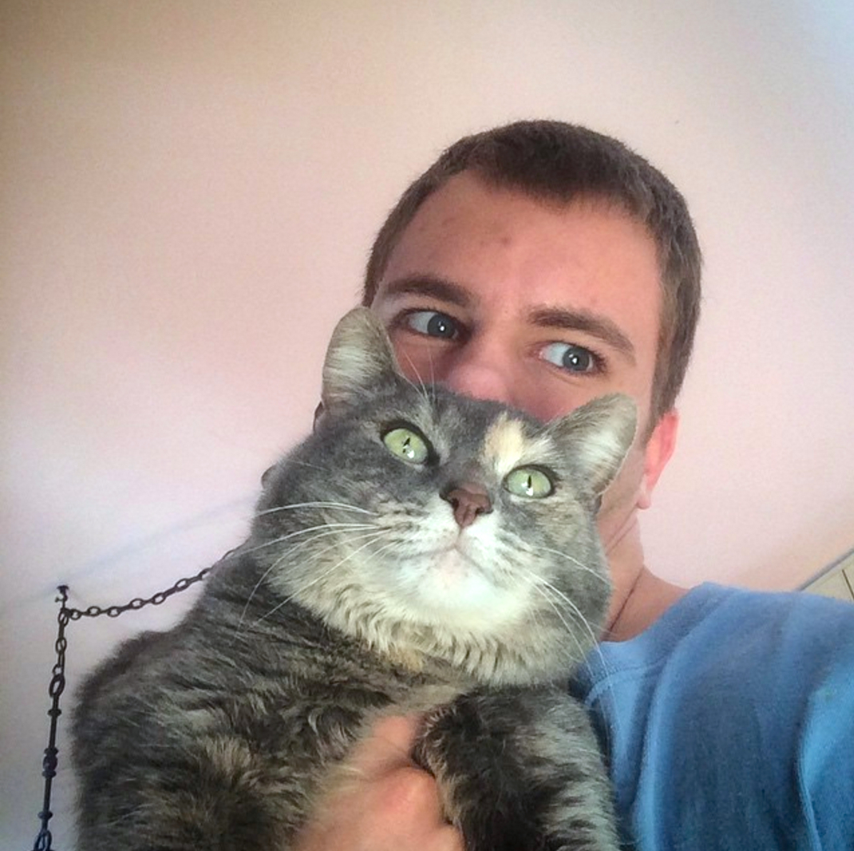 catprom_k.jpg