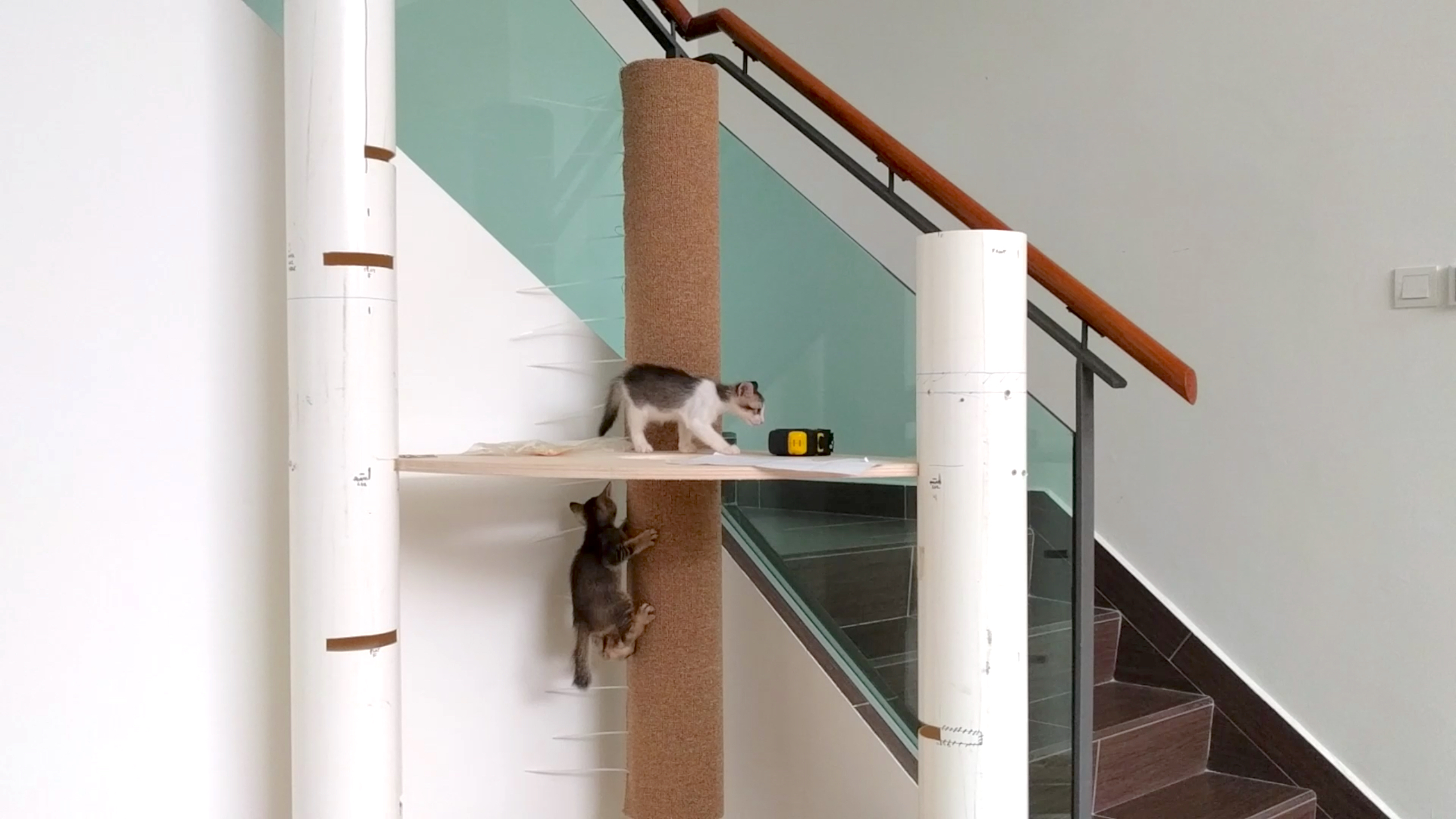 cattower_h.jpg