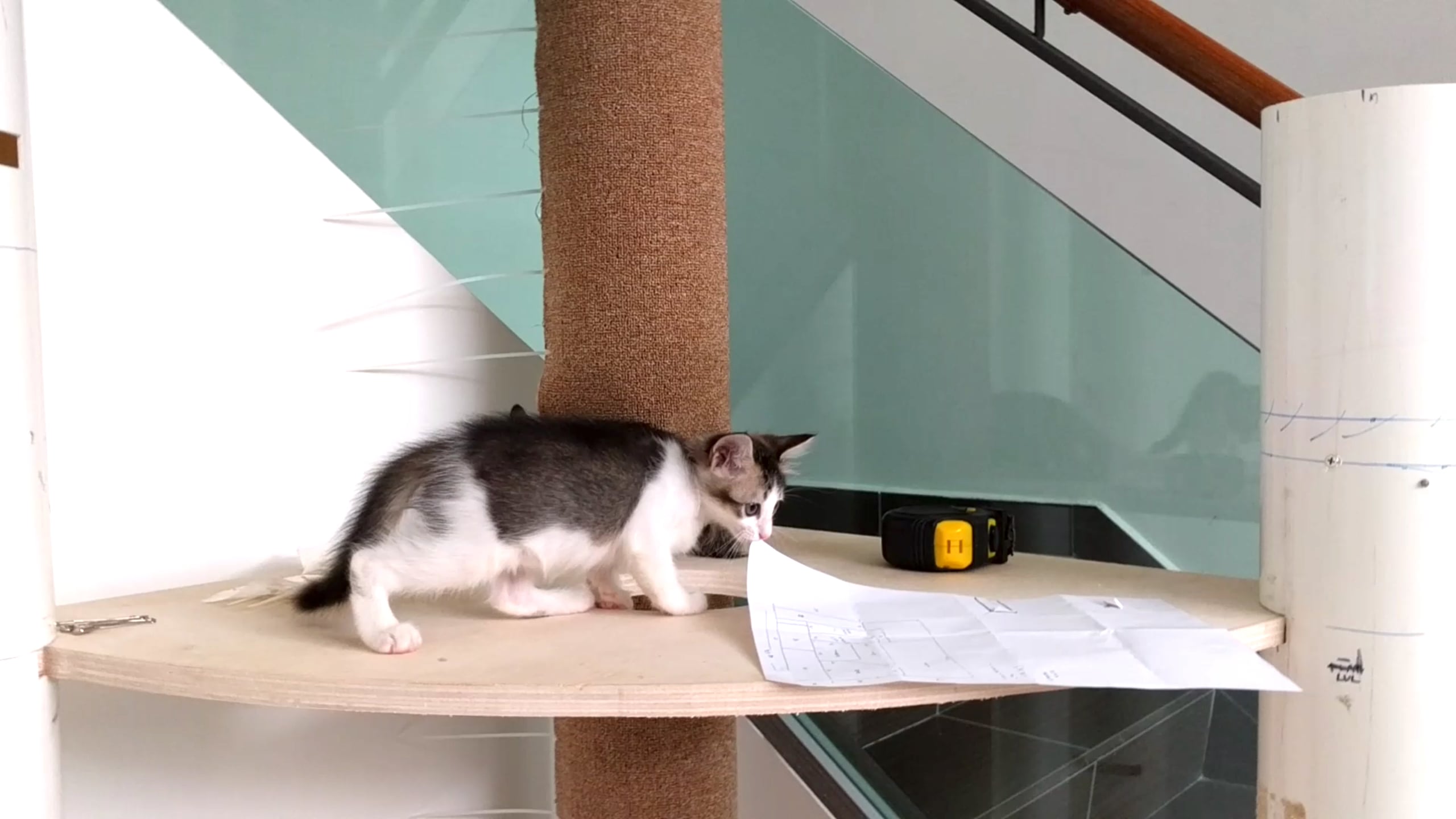 cattower_i.jpg