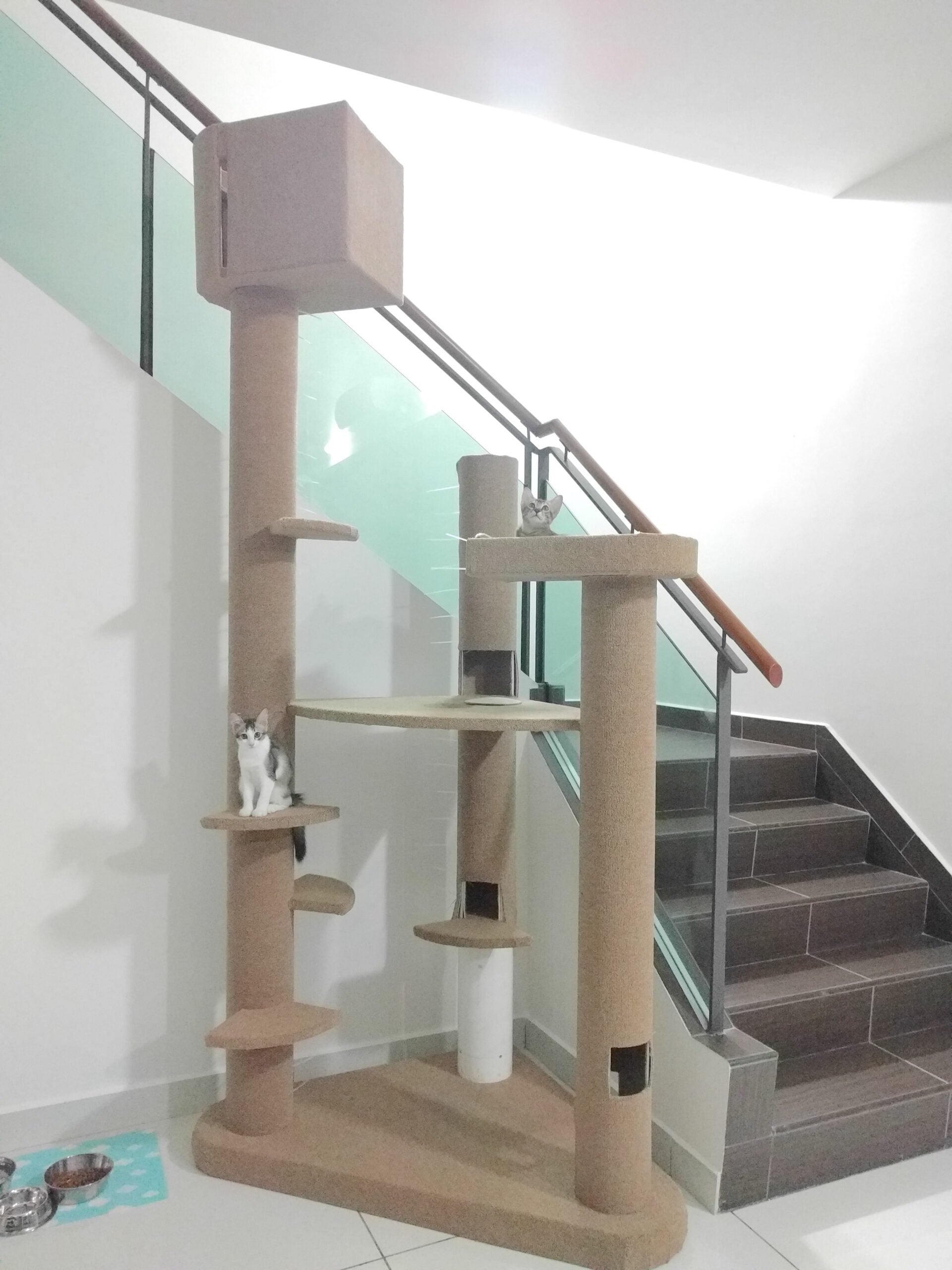 cattower_l.jpg