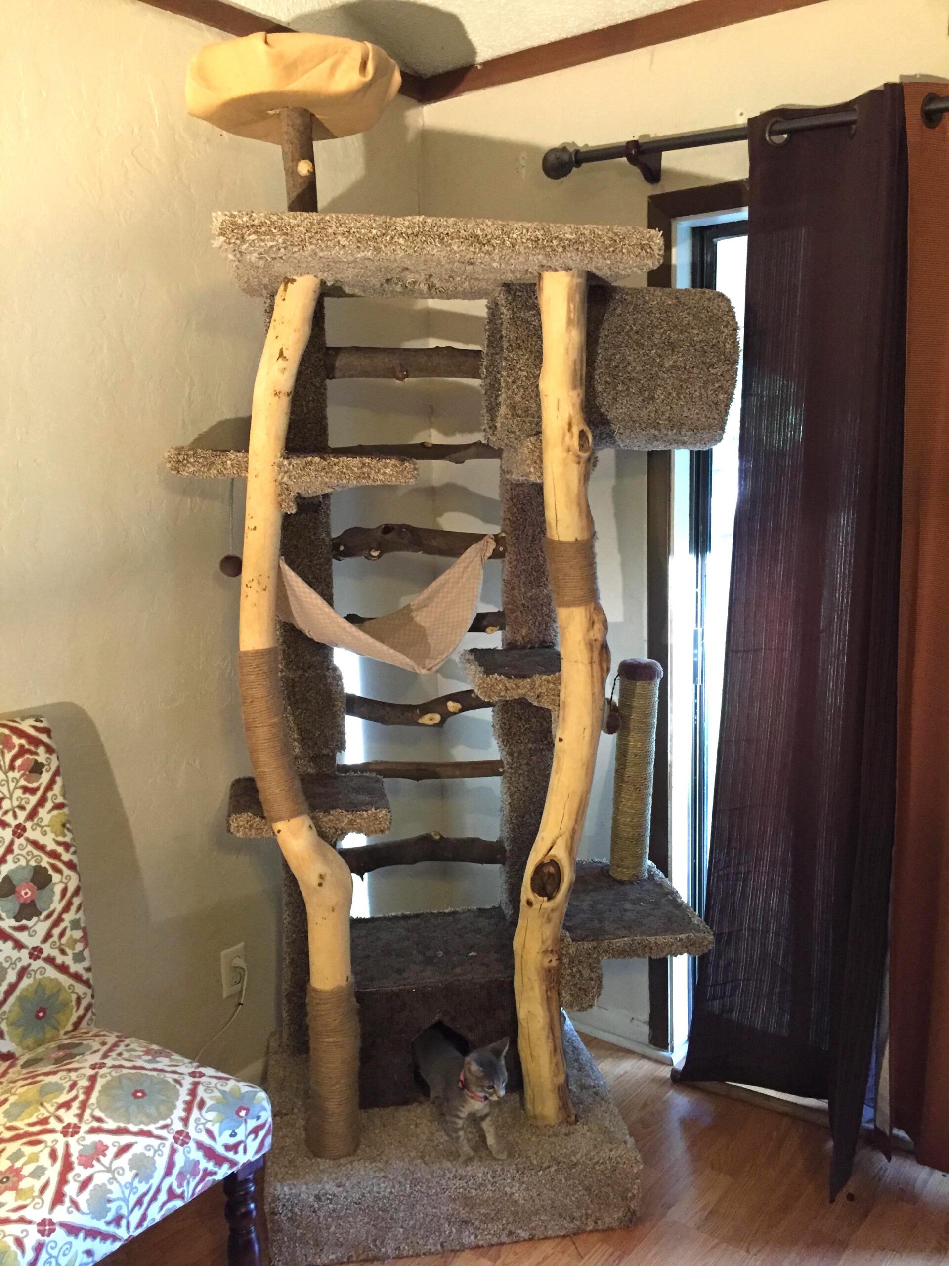 cattree_a.jpg