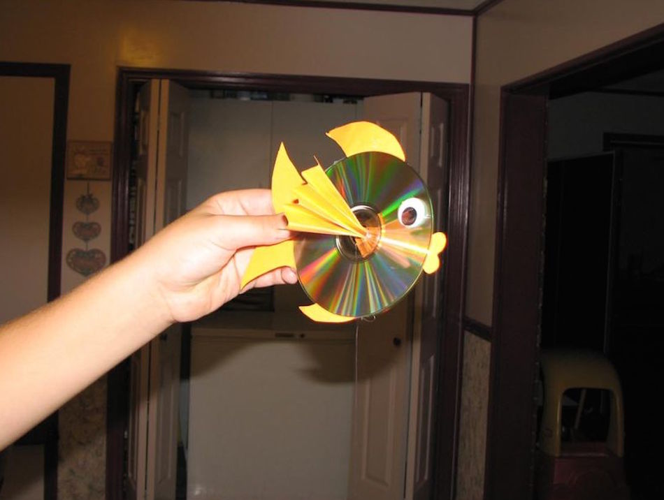 cd-fish.jpg