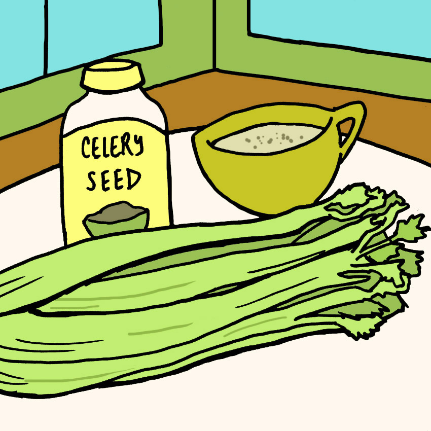 celery-seed-home-remedy-uti.jpg celery-seed-home-remedy-uti.jpg