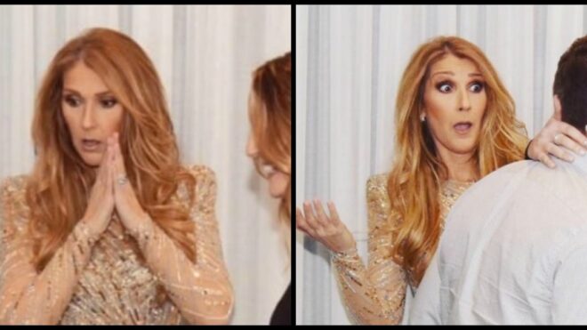 celine-dion-concert